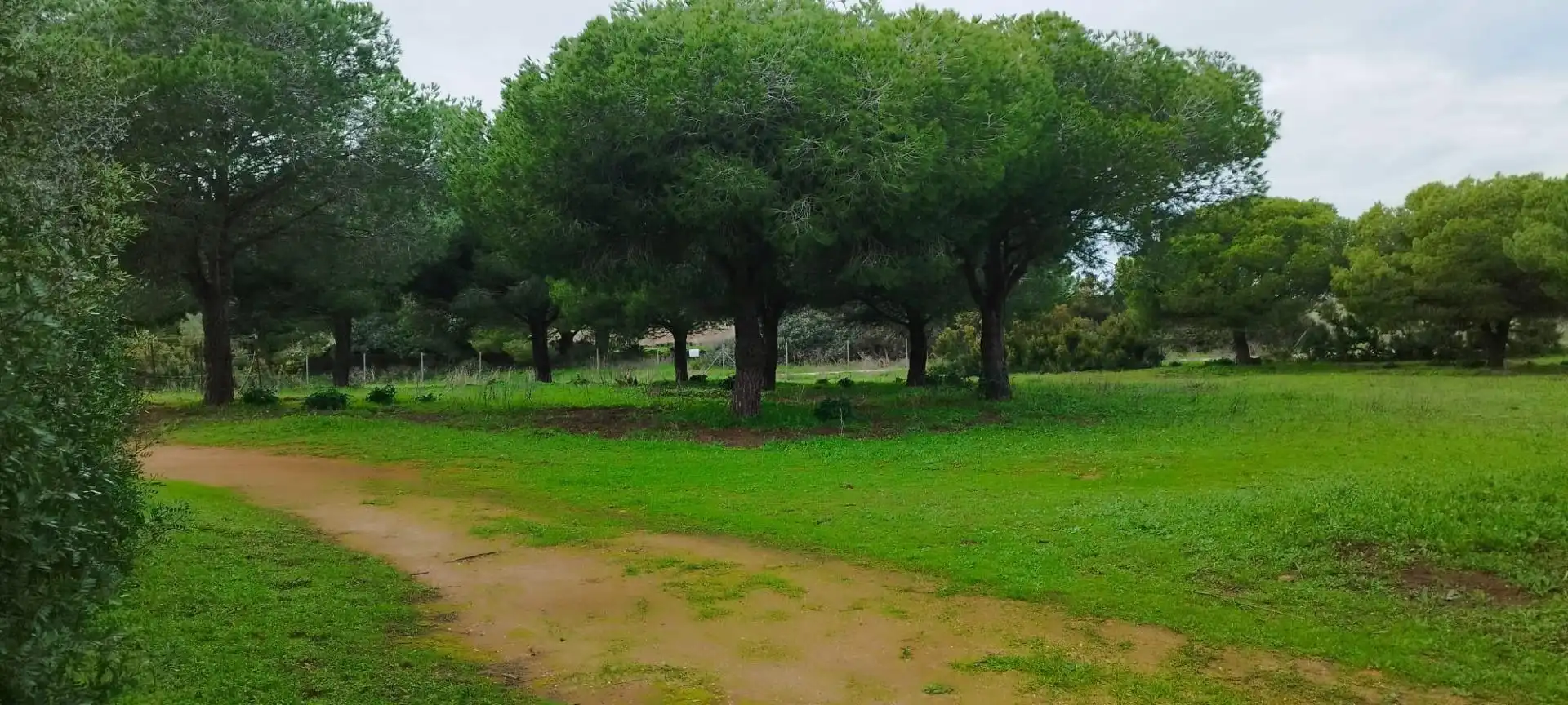 Casa o chalet en venta en Puerto Real