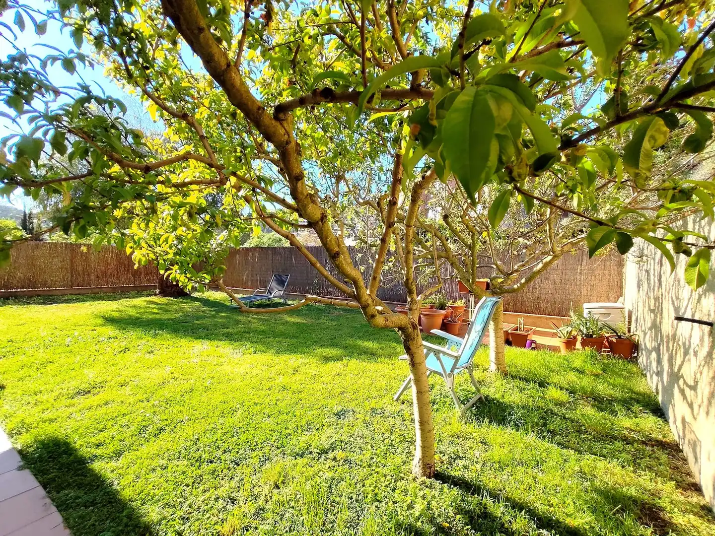 Jardí de Casa o xalet en venda en La Palma de Cervelló amb Aire condicionat, Calefacció i Terrassa