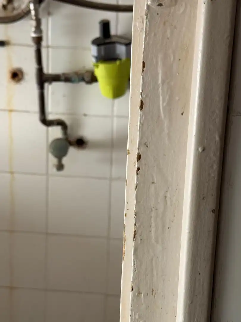 Bany de Pis en venda en Alicante / Alacant
