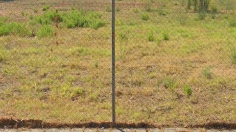 Foto 2 de Terreny industrial en venda a Torrent Ballester, Barcelona