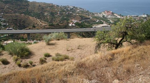 Finca rústica con agua y vistas al mar 4.170 m2, immagine 3