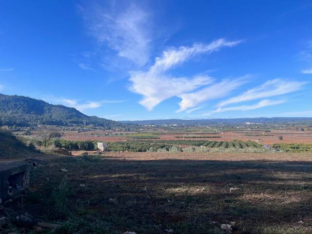 Terreno en Venta en Enguera