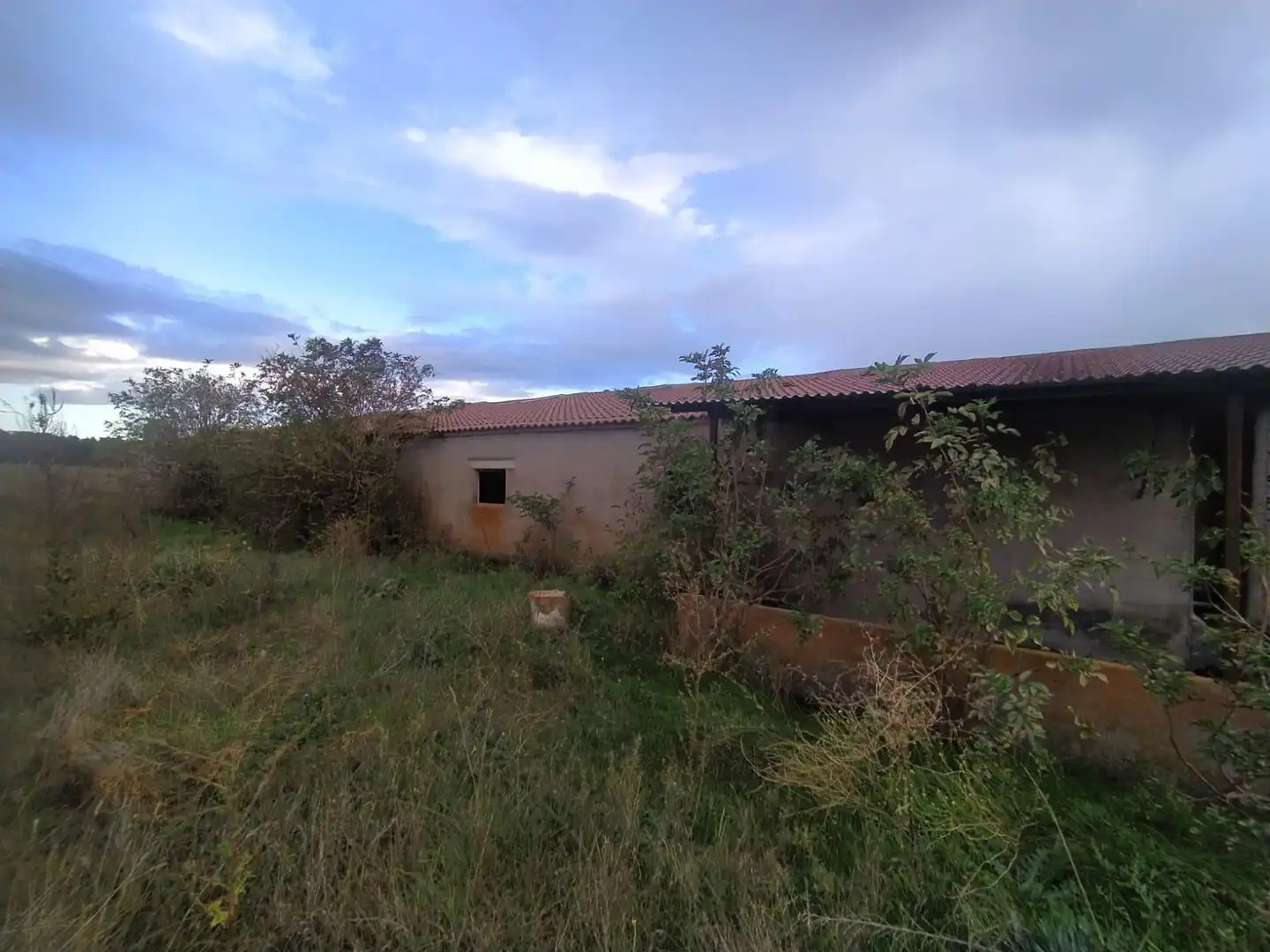 Nave industrielle à vendre à Fuentepelayo, imagen 21
