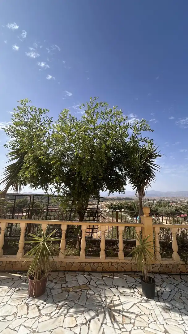 Terraza de Casa o chalet en venta en Albox con Calefacción, Jardín privado y Trastero