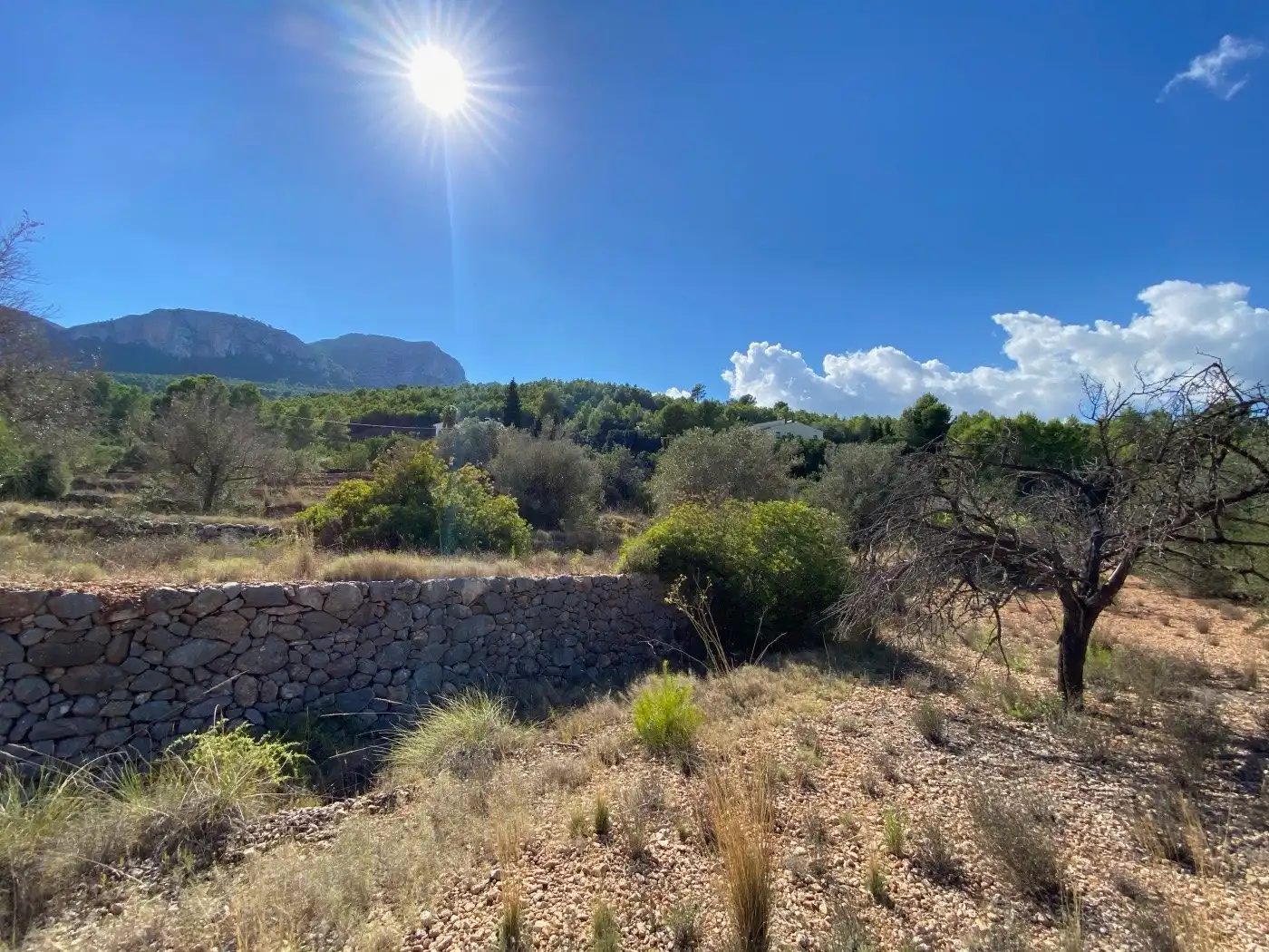 Terreny residencial en venda a Benissa pueblo, imagen 14