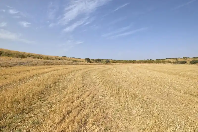 Terreni e lotti in vendita a Padul, imagen 27