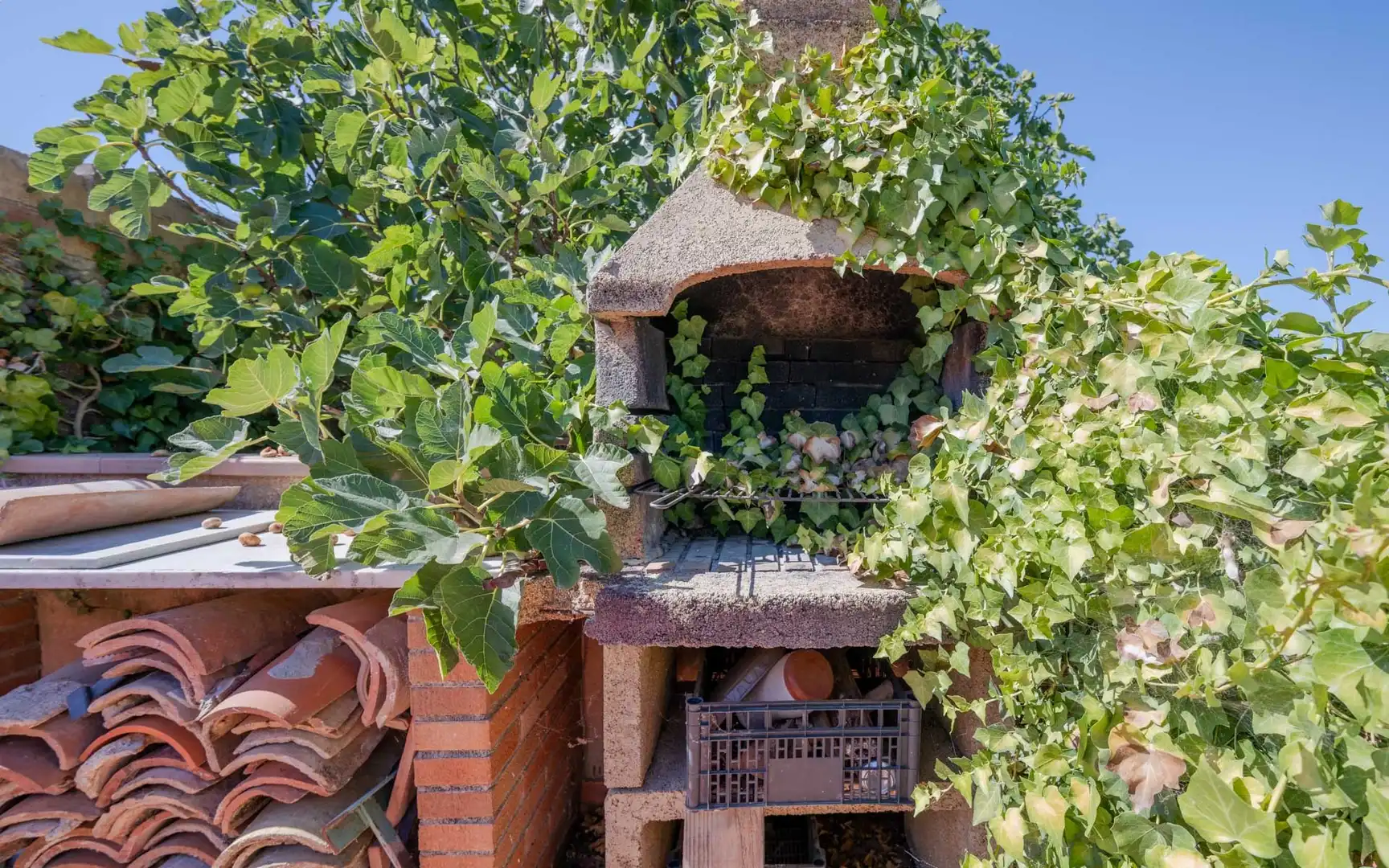 Casa amb terrassa en venda a Major, imagen 40