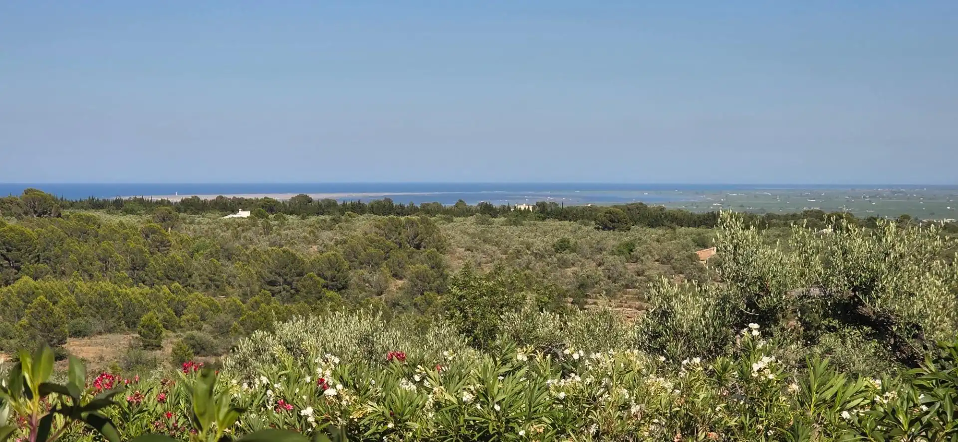 Finca rústica en venda en L'Aldea amb Traster