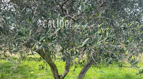 Terreno en venta, immagine 5