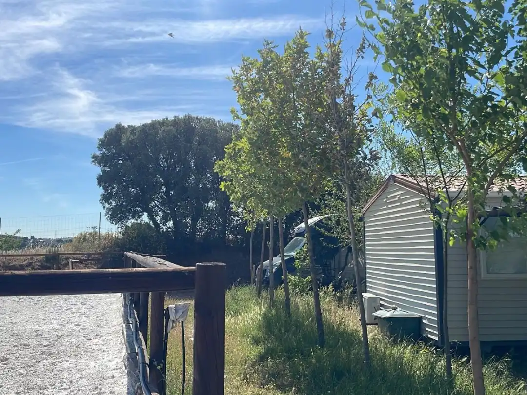 Terreno rustico in vendita a Camino de las Salinas 5, imagen 21
