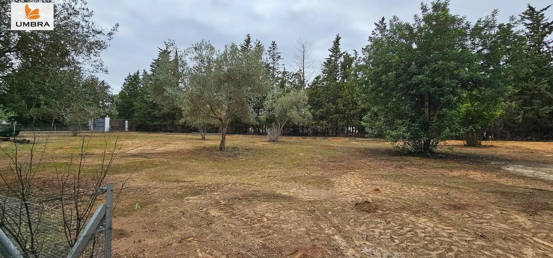 Houses for sale in Parque Atlántico - Ronda este