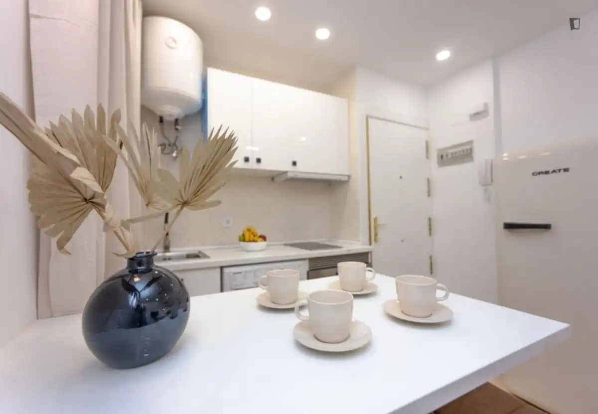 Apartamento en alquiler en Chamberí, imagen 19
