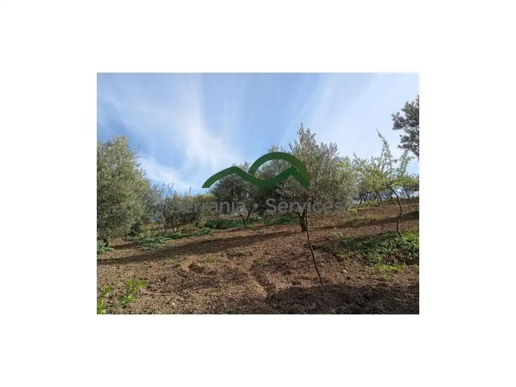 Country house zum Verkauf in Ronda