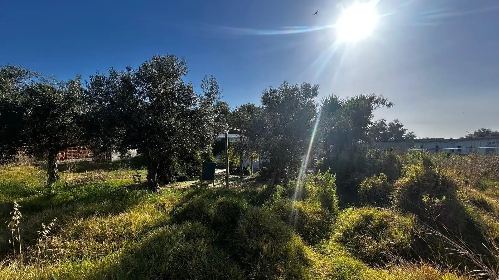 Casa en venta en El Juncal - Vallealto, imagen 5