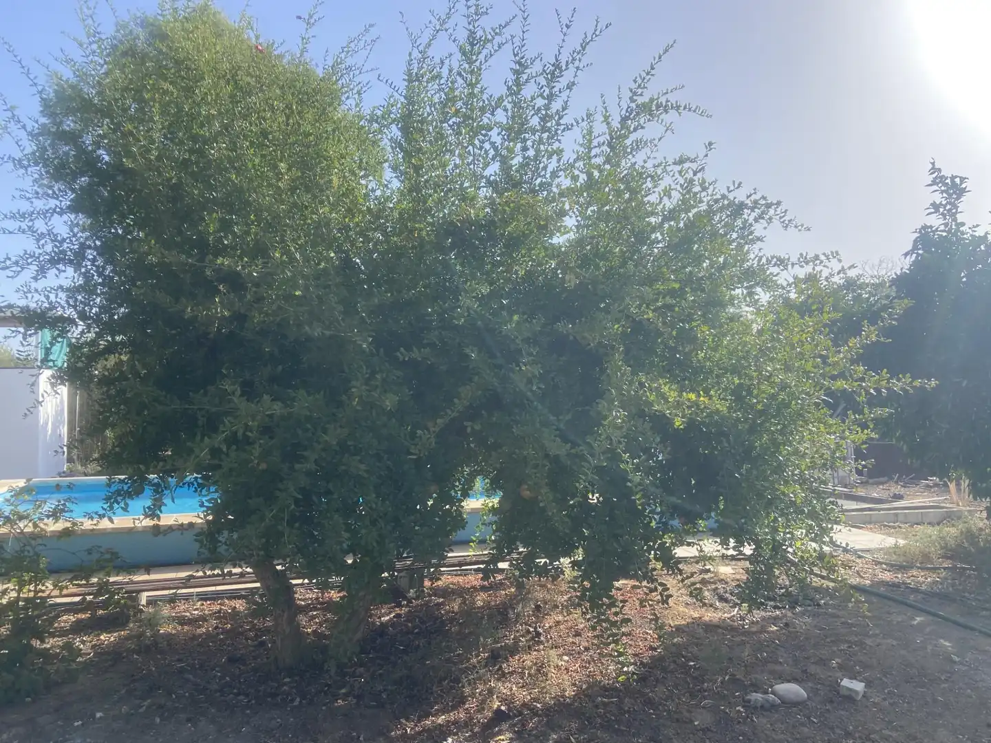 Maison rustique avec piscine à vendre à EUCALIPTUS-AMIGOS, imagen 24