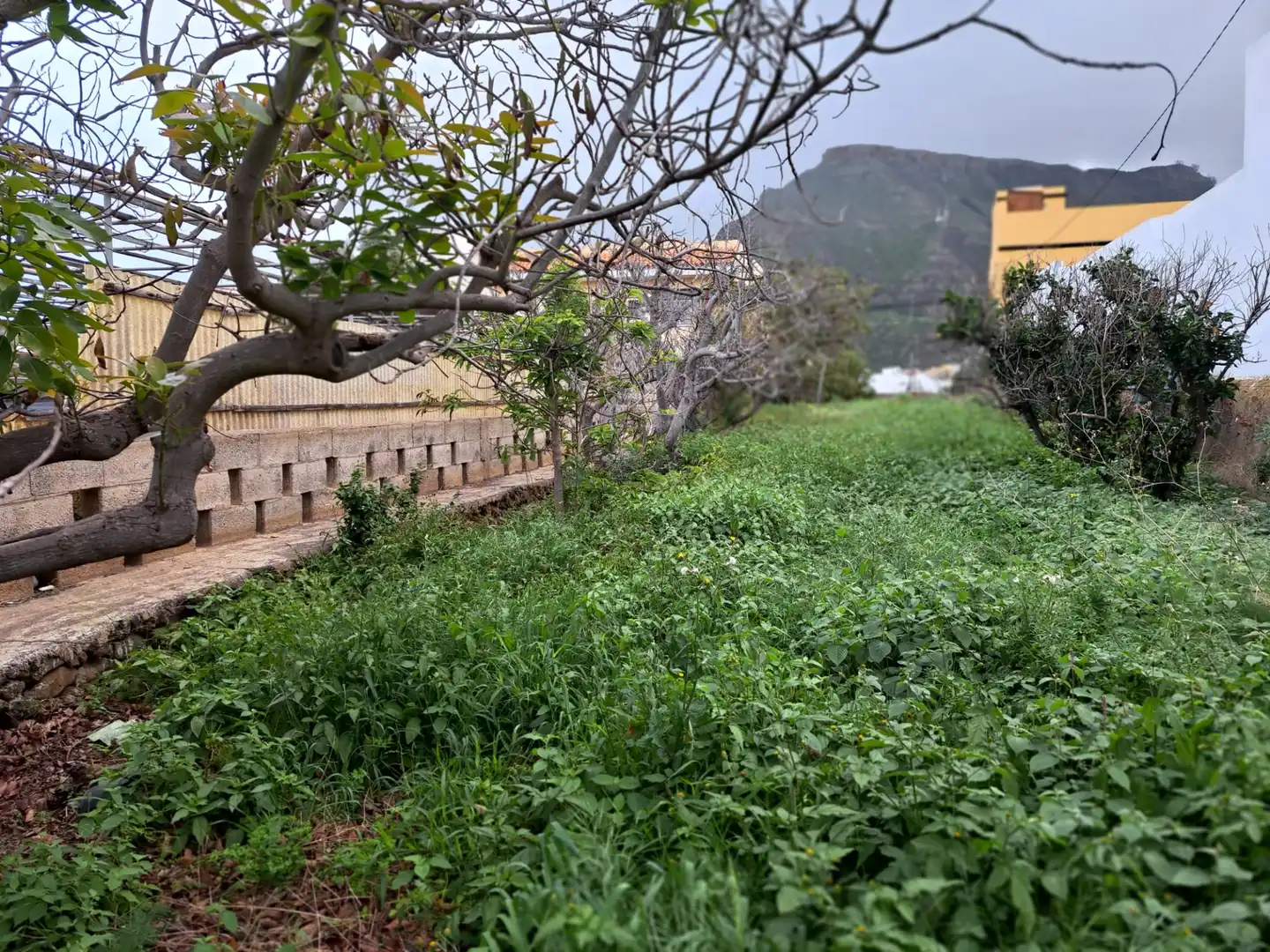 Residential land for sale in Tejina, imagen 21