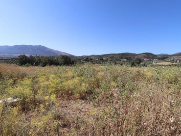 Terreno rustico in vendita a La Campiñuela