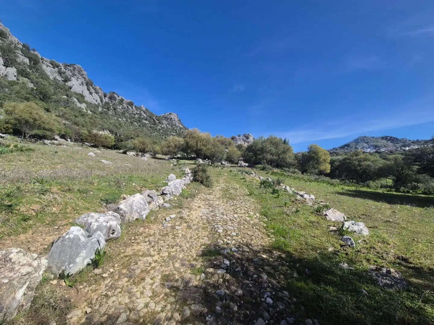 Grundstücke zum Verkauf in Benaocaz