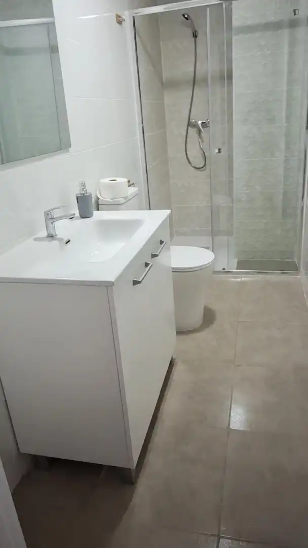 Baño de Apartamento de alquiler en Alberic con Amueblado, Horno y Lavadora