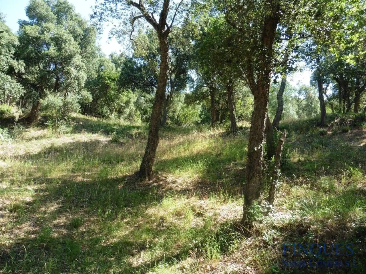 Maison avec jardin à vendre à Vall Repòs, imagen 39