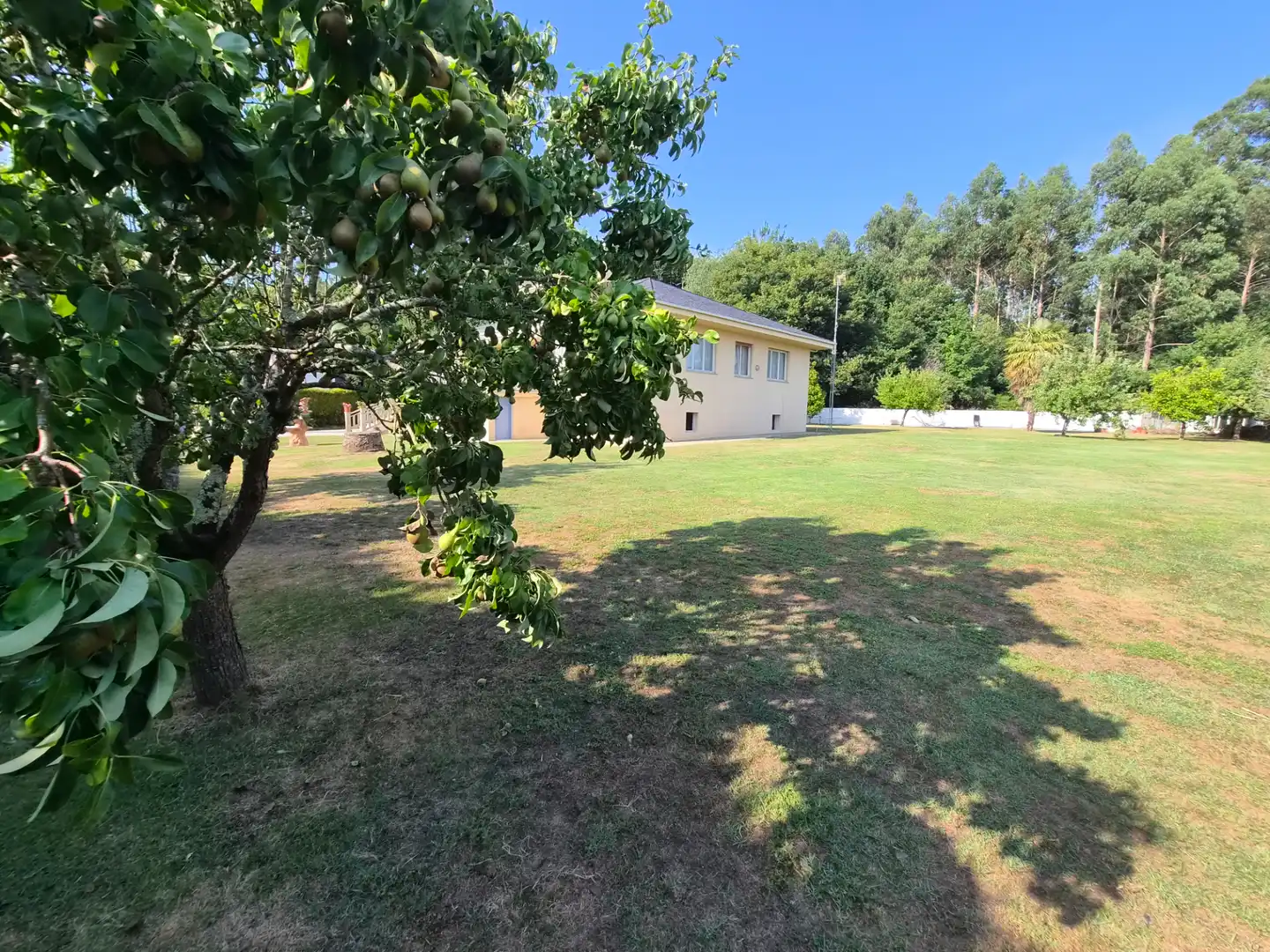 Villa avec terrasse à vendre à Rúa Fonte do Ouro, imagen 119