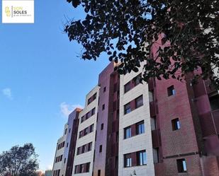 Flat to rent in Monte