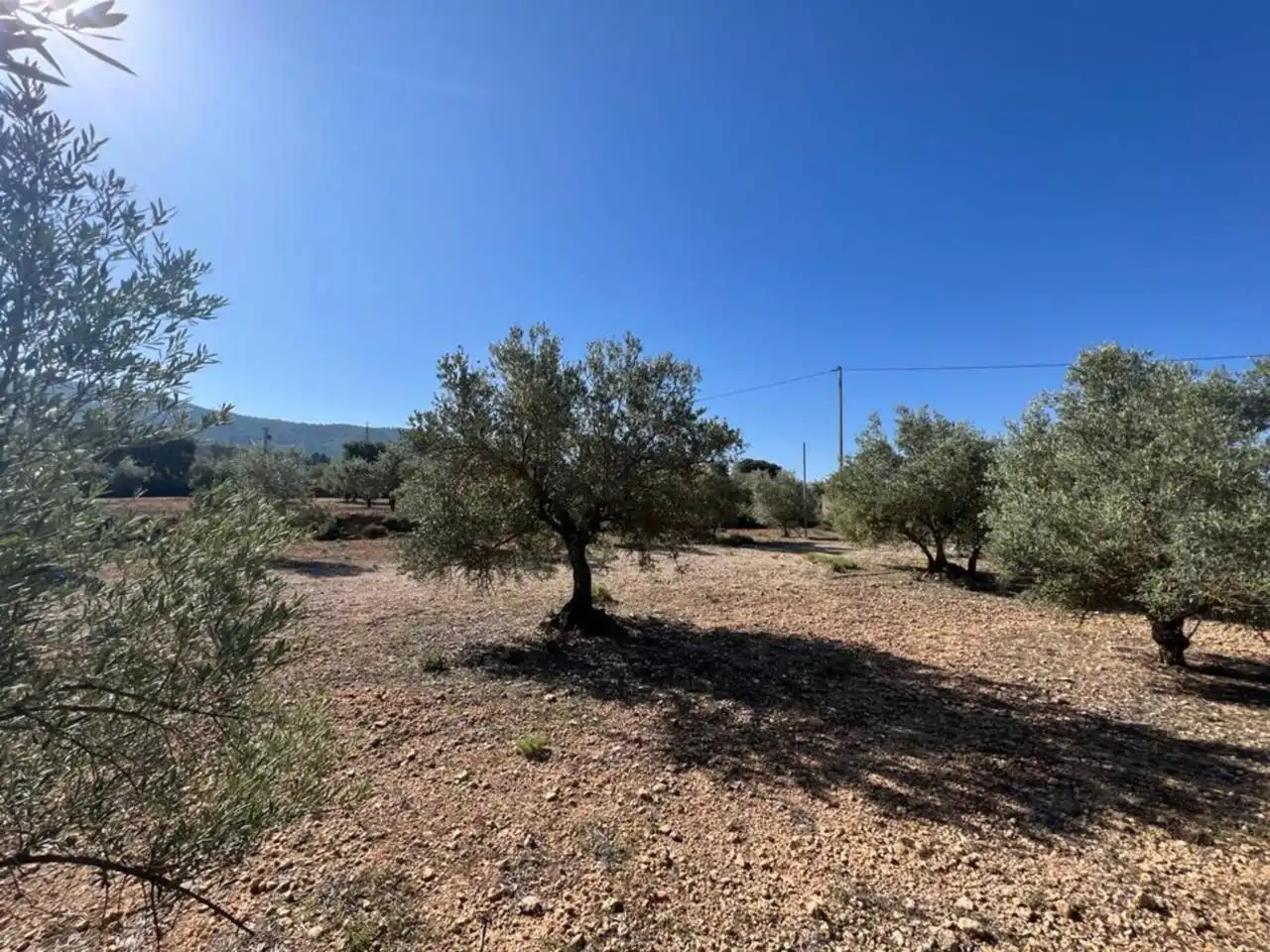 Chalet en venta en Banyeres de Mariola, imagen 9
