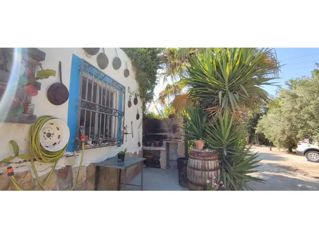 Jardí de Finca rústica en venda en La Romana