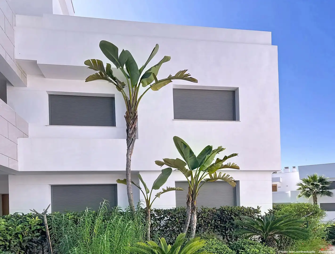 Vista exterior de Planta baja en venta en Casares con Aire acondicionado, Terraza y Piscina