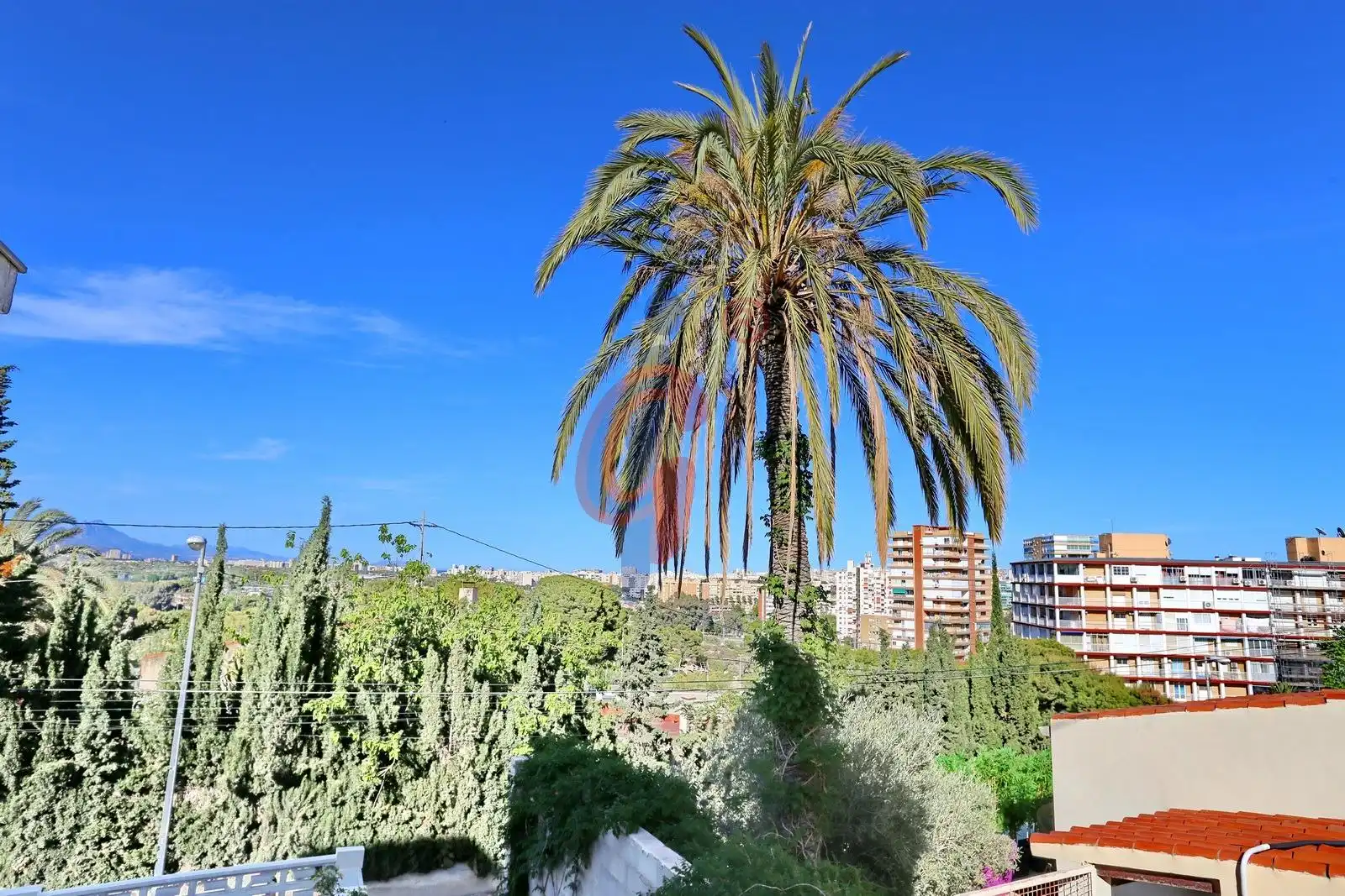 Vista exterior de Casa o xalet en venda en Alicante / Alacant amb Jardí privat, Terrassa i Piscina