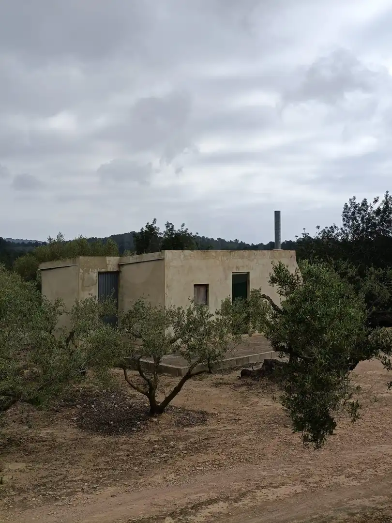 Residencial en venda a El Perelló
