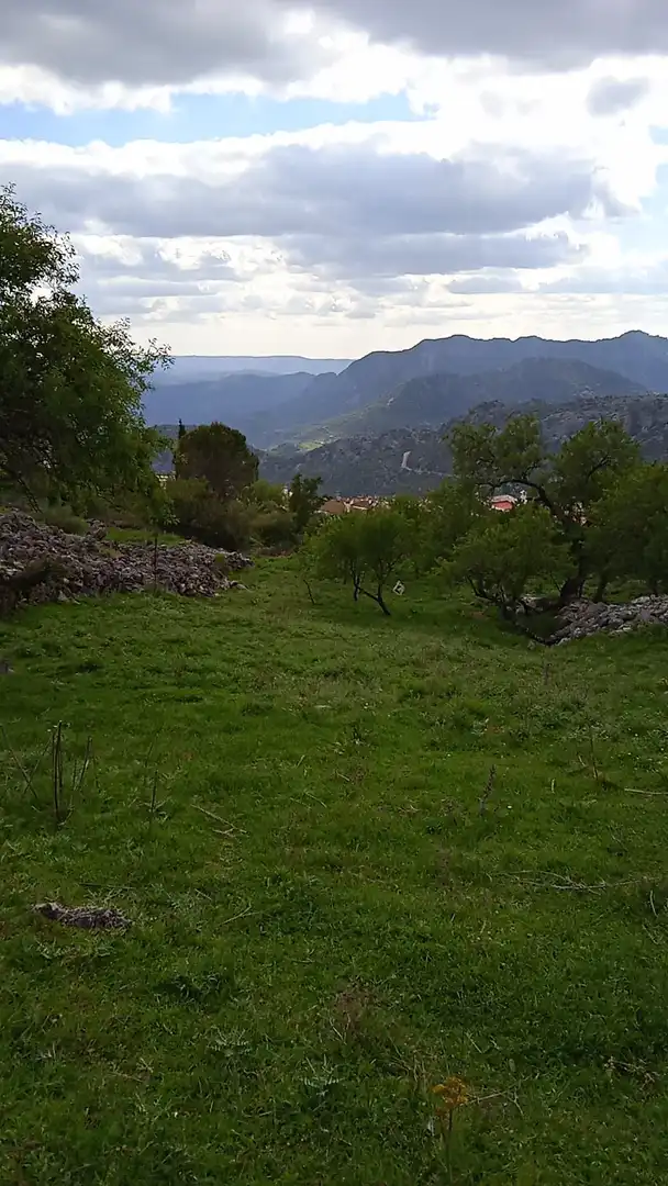 Terrain rustique à vendre à Benaocaz, imagen 2