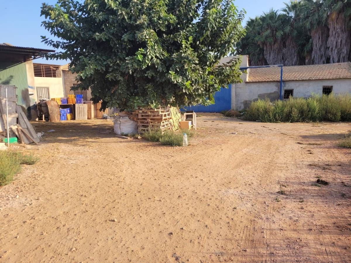 Casa o xalet en venda a Barrio Sta. Agueda, Catral