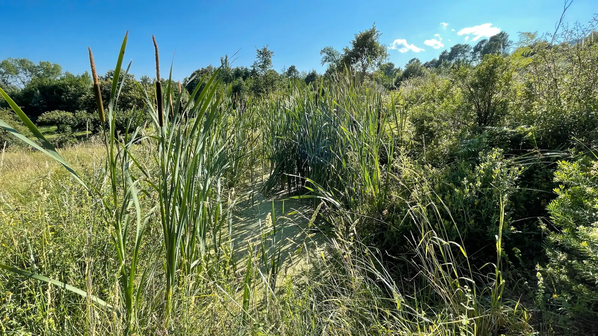Grundstücke zum Verkauf in El Arenal 