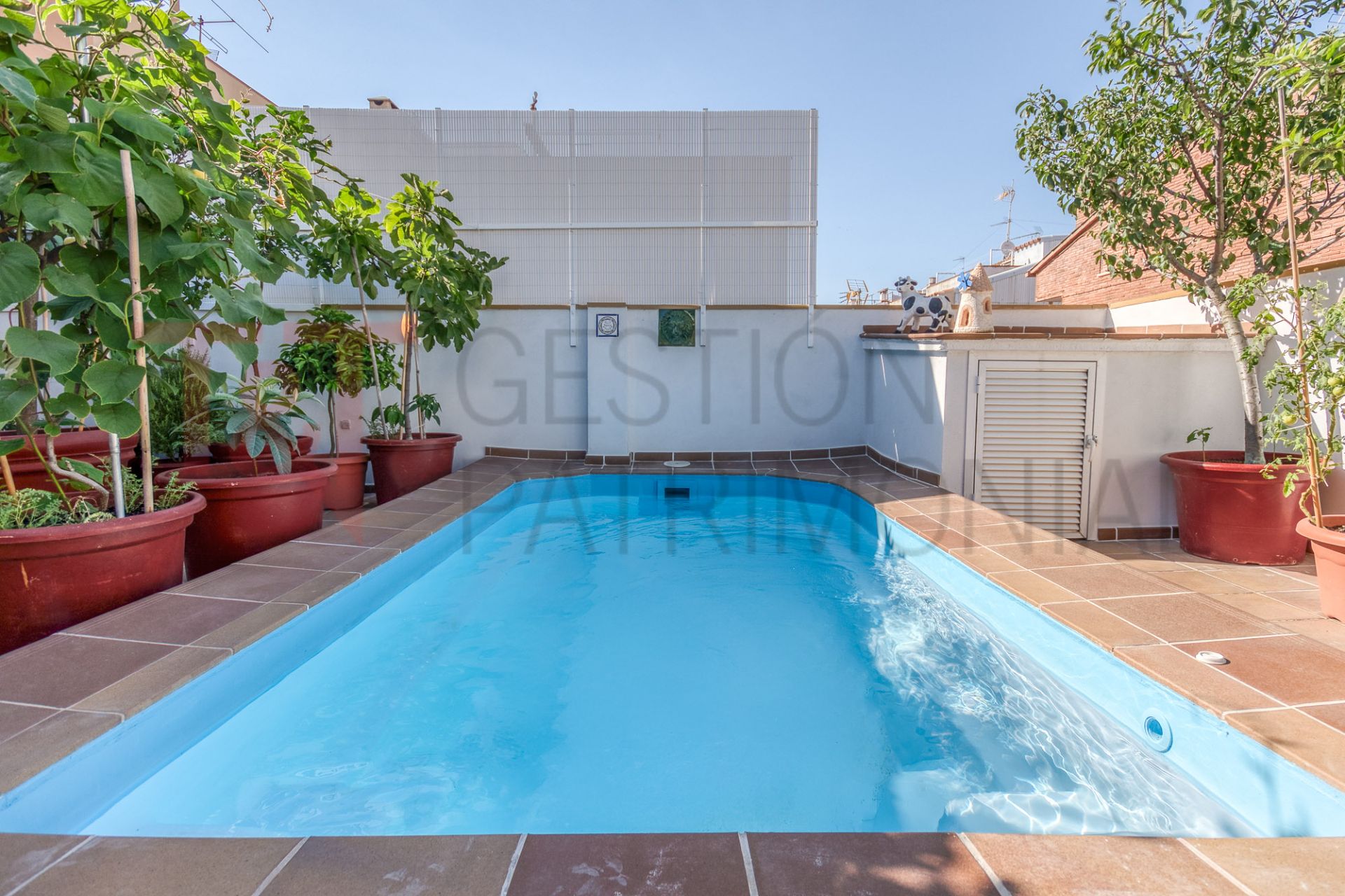 Piscina de Casa o xalet en venda en Pineda de Mar amb Aire condicionat, Calefacció i Terrassa