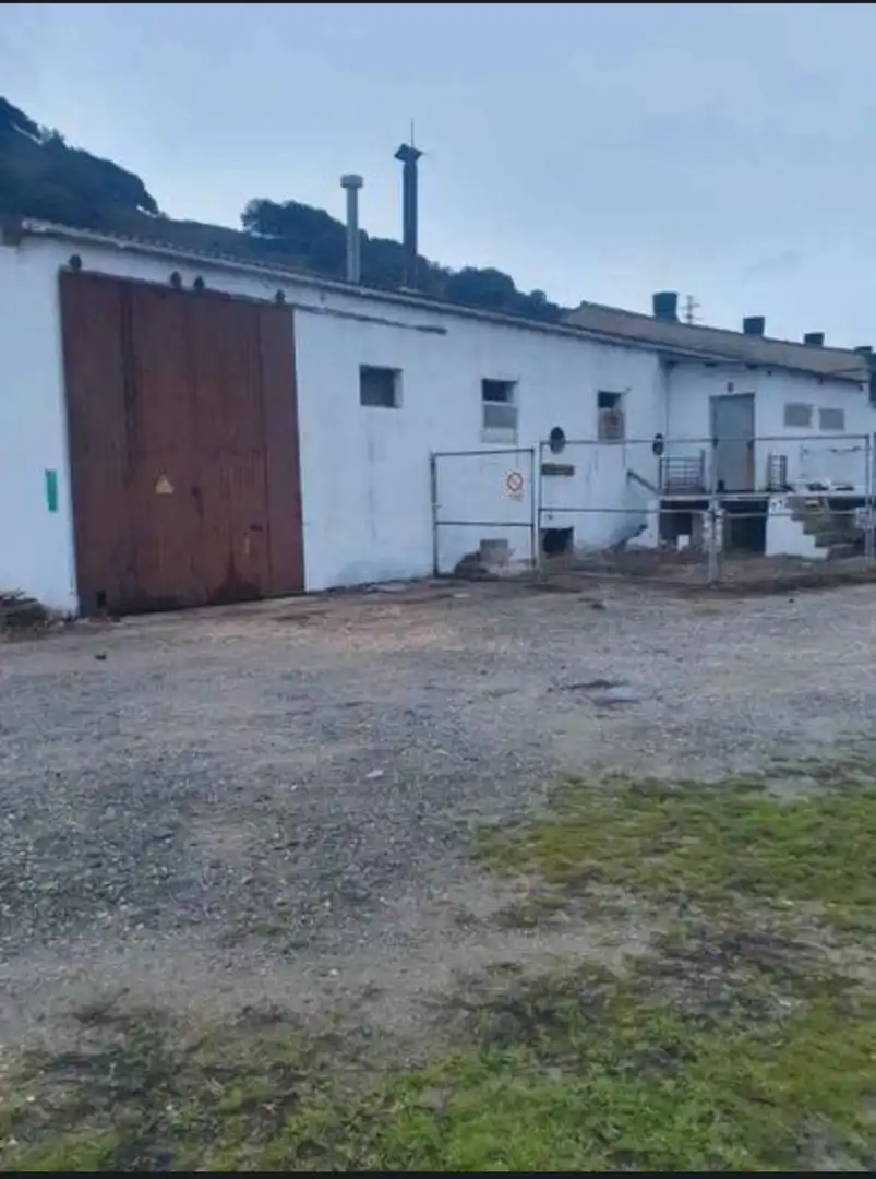 Exterior view of Industrial buildings for sale in Salinas de Oro / Jaitz