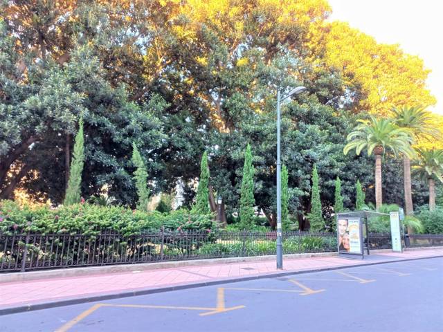 Local comercial en Venta en Calle Proclamación en El Carmen