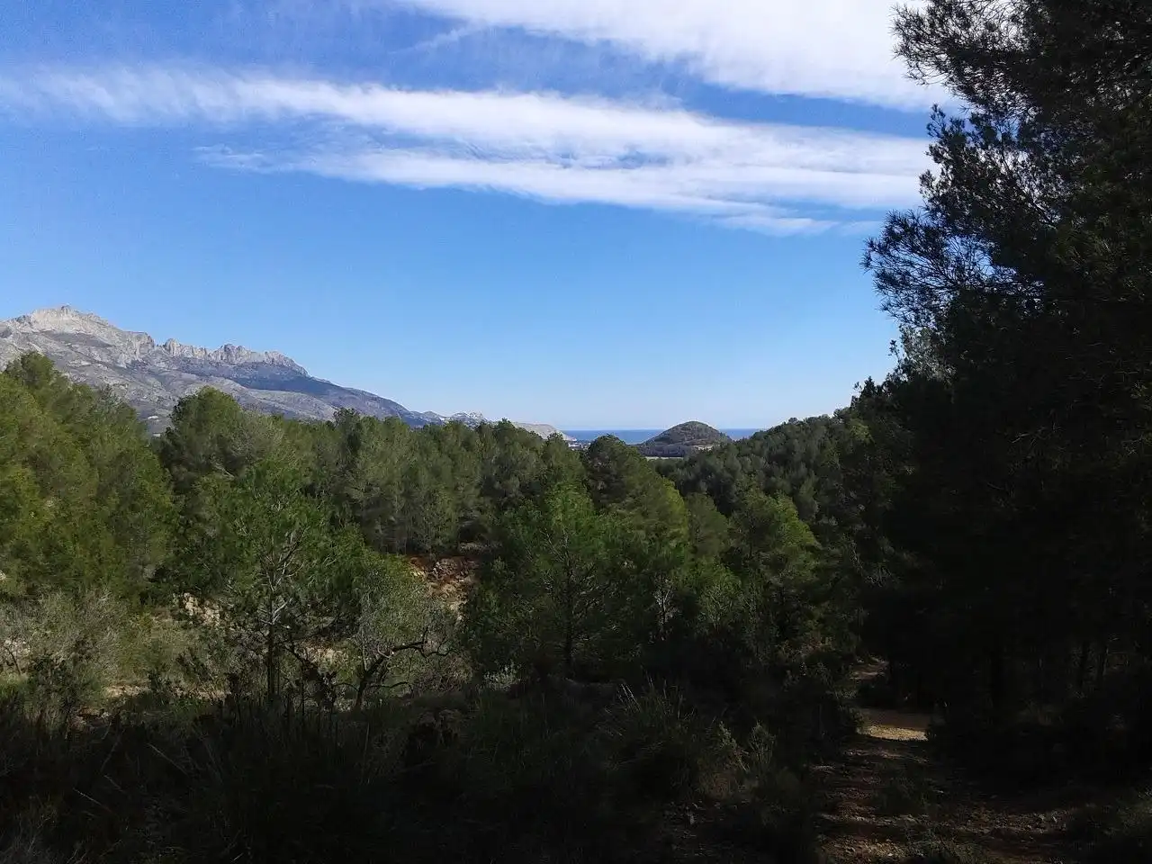 Terreny rústic en venda a Xirles, imagen 9