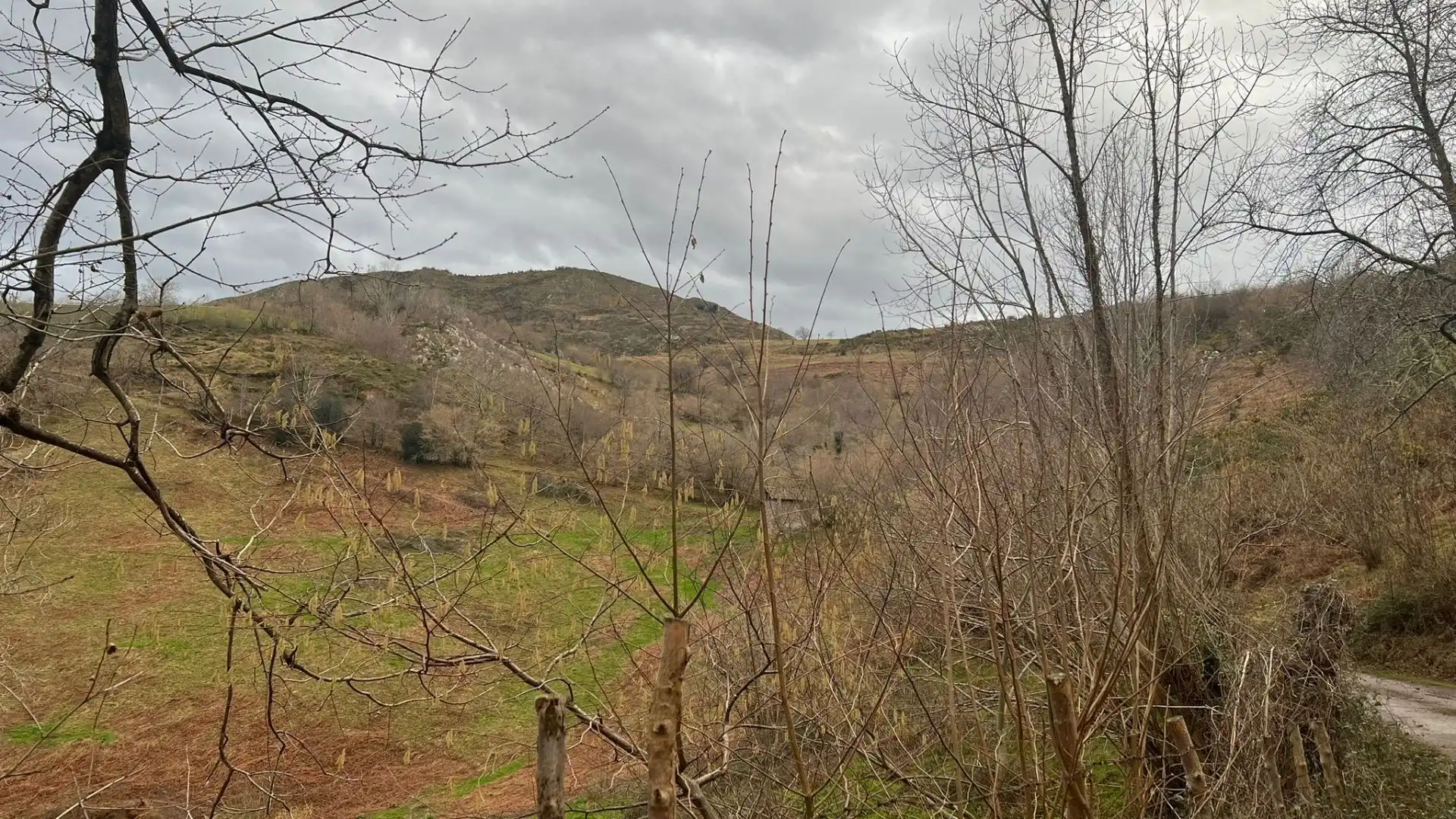 Terreno rustico in vendita a Cangas de Onís, imagen 31