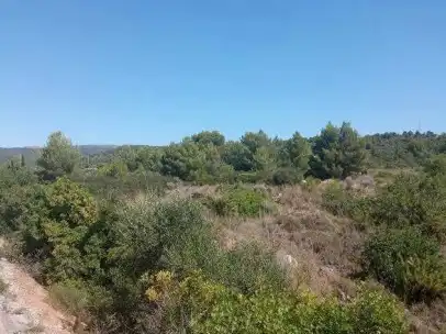 Terreny rústic en venda a Pt  SAPU-IN-1, imagen 8