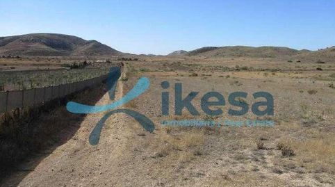 Venta de Suelo Rústico en Loma Pelada, localidad de Níjar  Almería, immagine 2