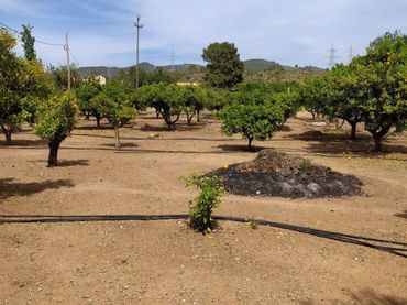 Terreno residencial en venta en Urbanitzacions