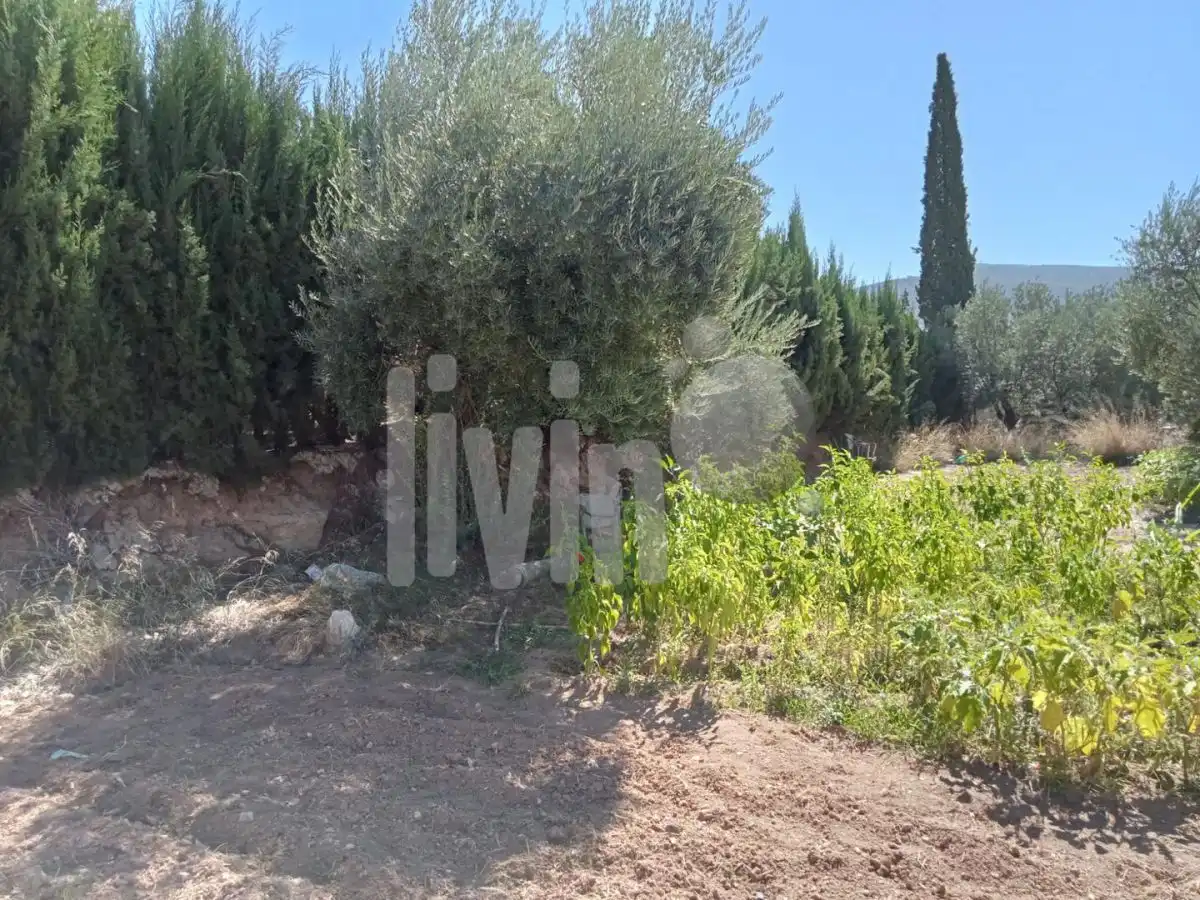 Terreni e lotti in vendita a Puente Tablas - Puente Nuevo - Cerro Molina, imagen 14