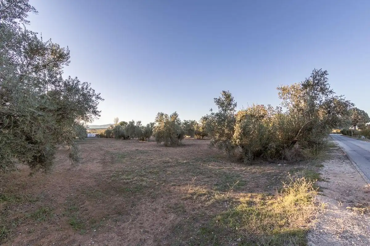 Terreni e lotti in vendita a Atarfe, imagen 7