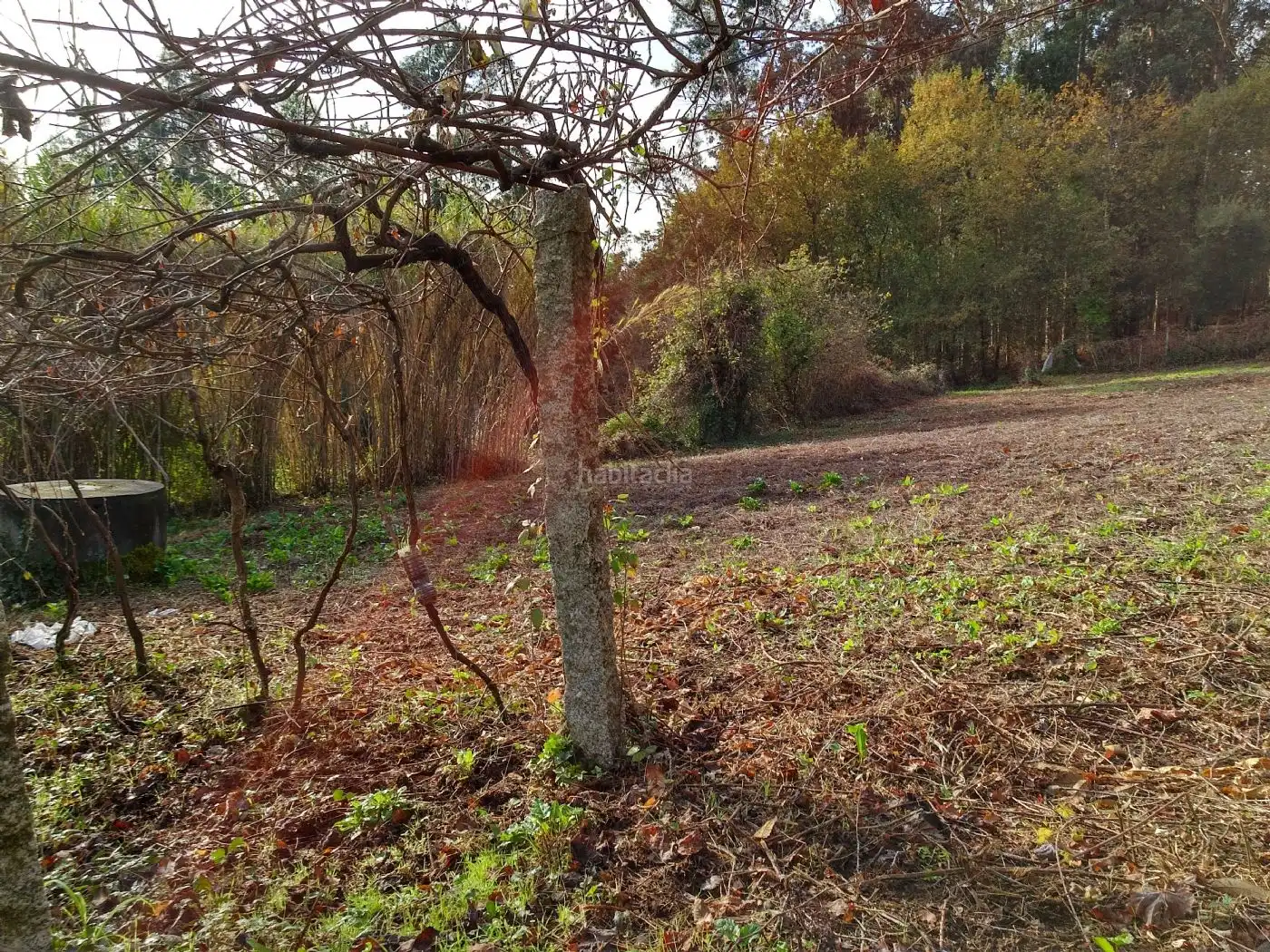 Wohnbaugrundstück zum Verkauf in Lugar Casal 20, imagen 5
