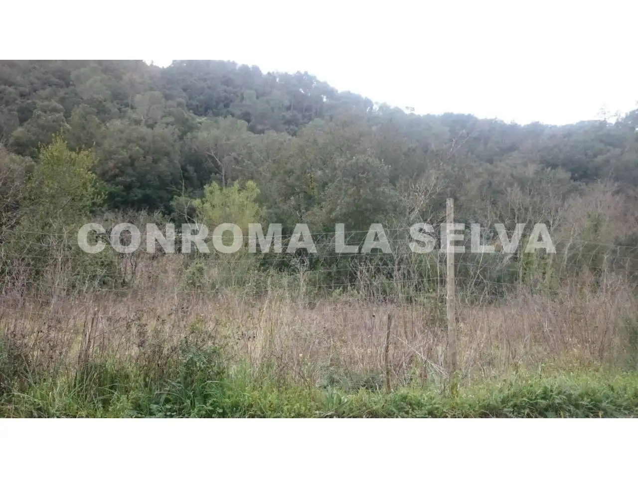 Casa rústica amb jardí en venda a Tordera pueblo, imagen 12