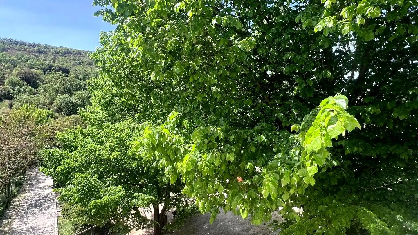 Vista exterior de Casa adosada en venda en Olmeda de las Fuentes amb Calefacció i Jardí privat