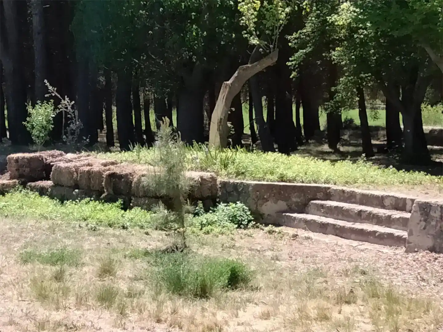 Jardí de Finca rústica en venda en Alcoy / Alcoi amb Piscina i Balcó