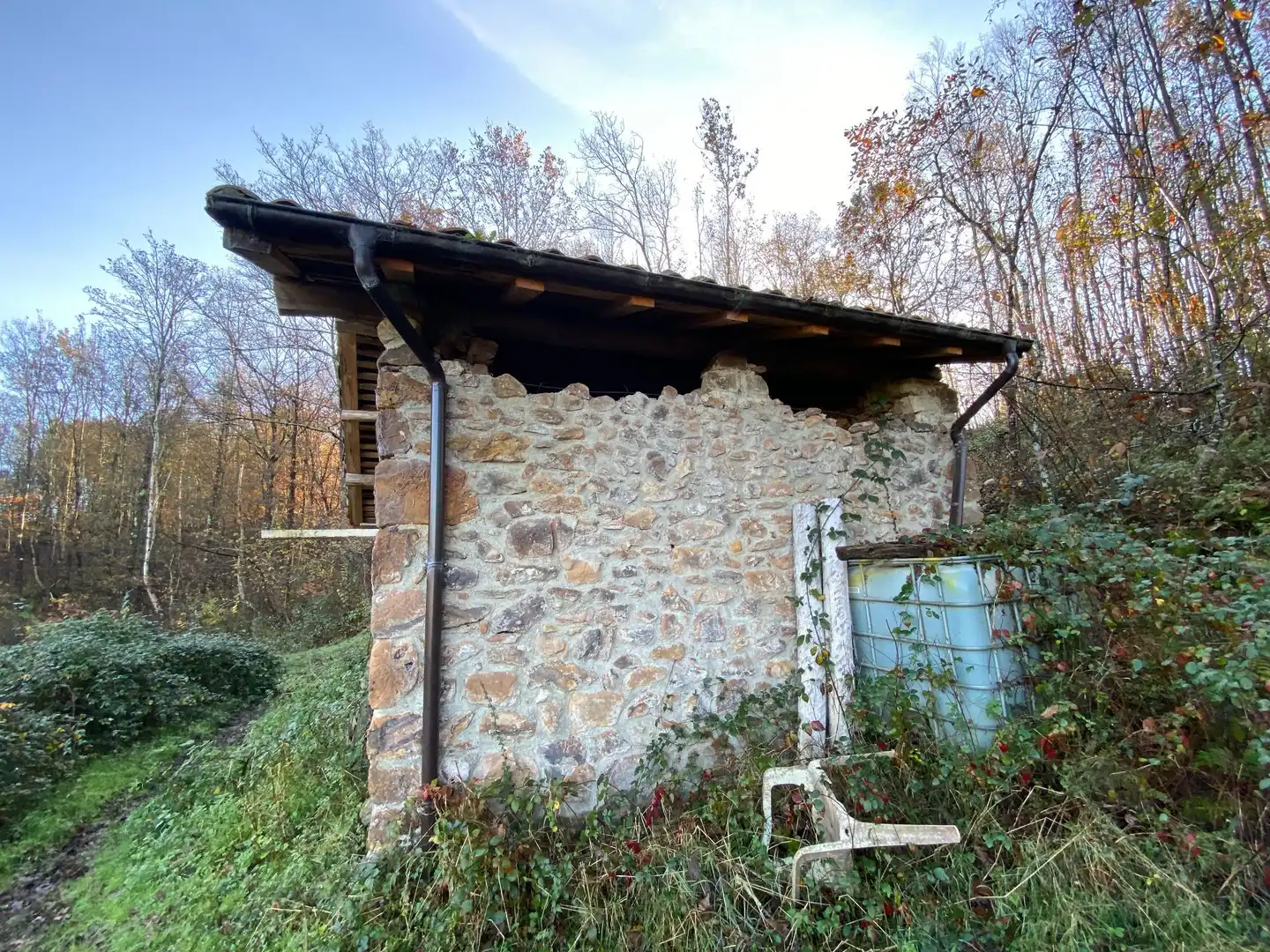 Terreno rustico in vendita a Cangas de Onís, imagen 5