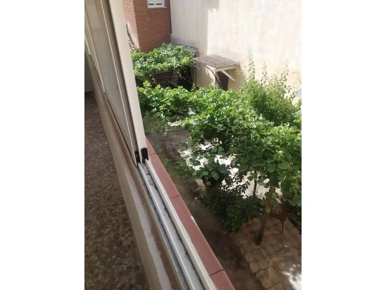 Terraza de Terreno en venta en Daimiel